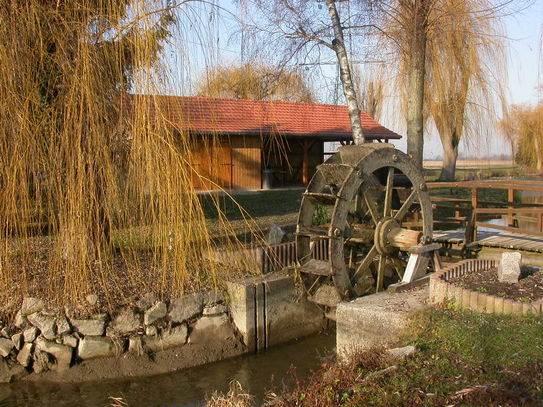 Gibier Blodelsheim